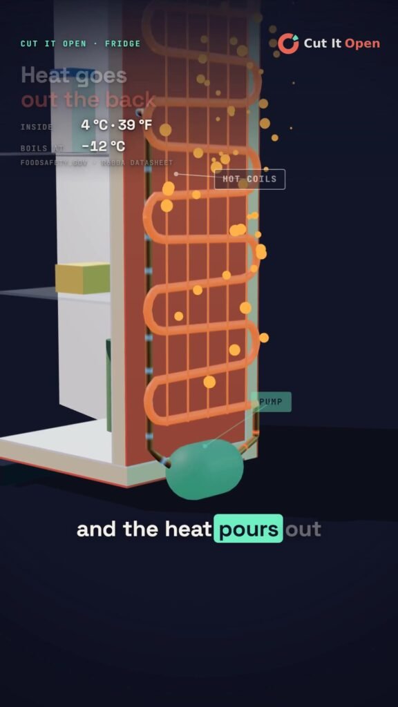 Why Your Fridge Is Hot at the Back