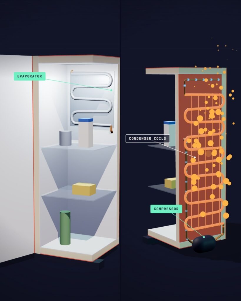 Labelled cutaway of How a Refrigerator Keeps Food Cold